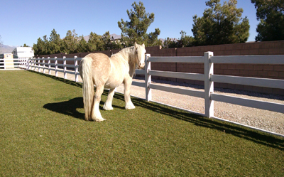 Ranch-and-Rail
